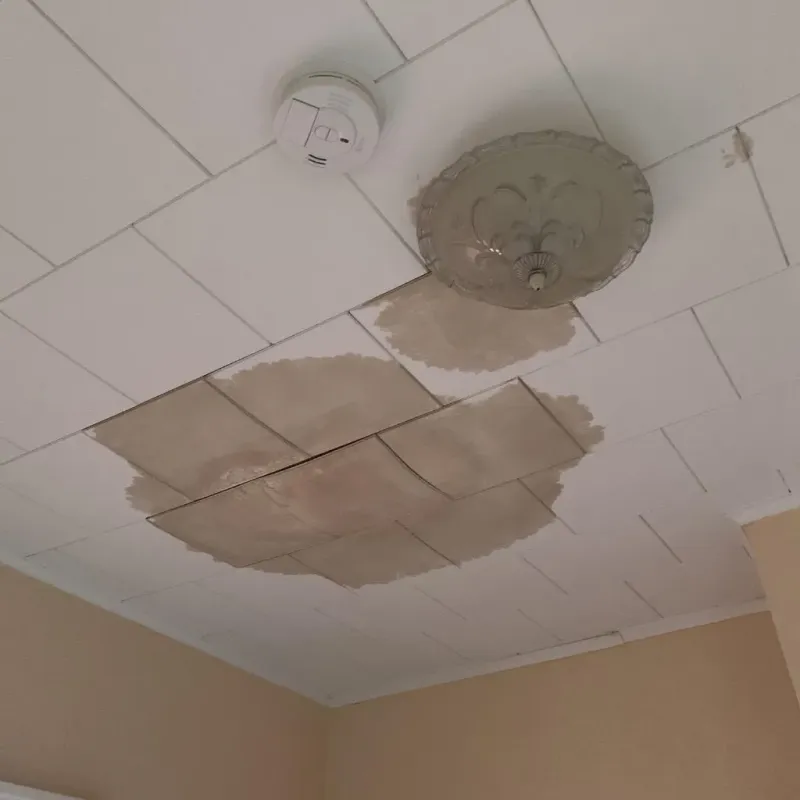 Ceiling Water Damage Repair in Lyndhurst, NJ