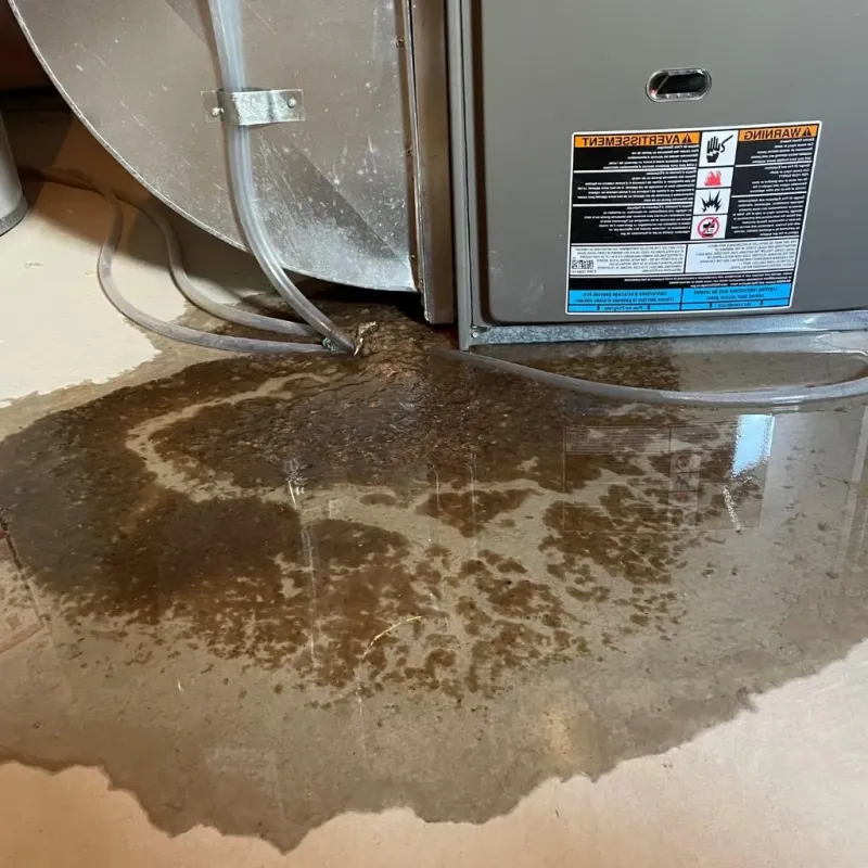 Pipe Burst and Leak Restoration in Lyndhurst, NJ