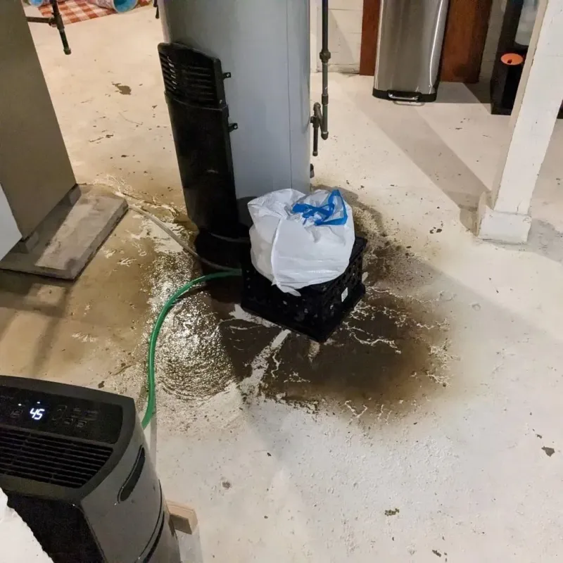 Sewage Backup Cleanup Service in Lyndhurst, NJ